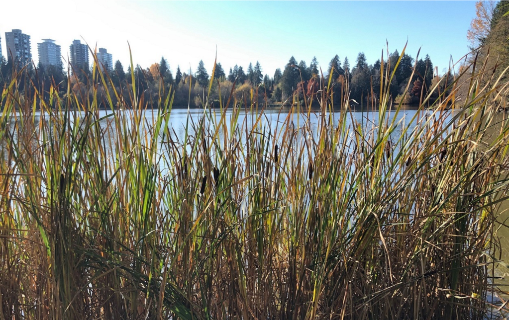 How to Personally Weather Great&nbsp;Change